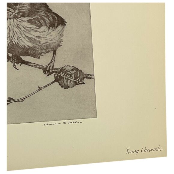 Charlie Hill Young Chewinks Pair of Birds on Limb Etching Reproduction Nature - Picture 2 of 3